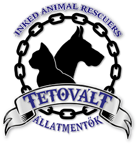 tetovalt_logos