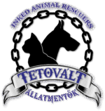 Tetovált Állatmentők Állatvédelmi Egyesület